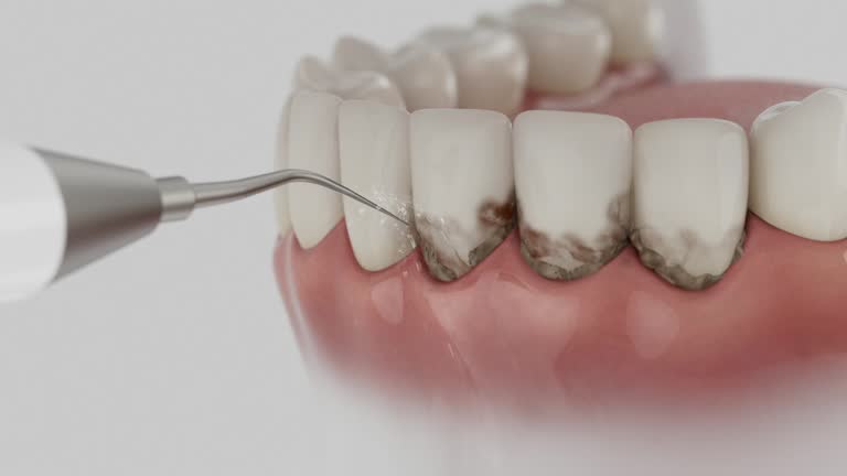Reliable Dental contractor in Union City, PA by Dentist Open Now